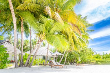 Güzel sahil kenarı, sahil villası ya da bungalov. Lüks tropikal plaj manzarası, güverte sandalyeleri ve palmiye yapraklarının altındaki şezlonglar, yaz seyahatleri. Lüks tatil ya da tatil manzarası. Egzotik bir yer, tropik ada cenneti.