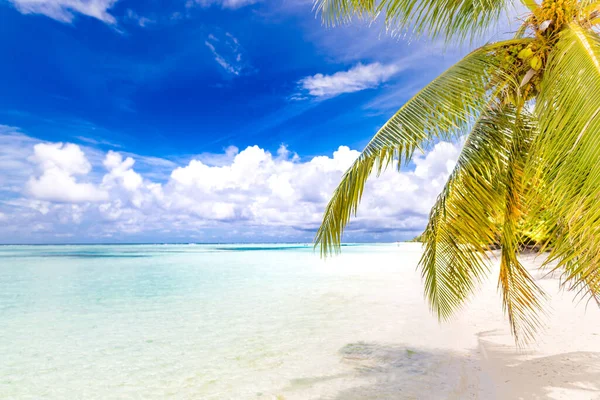 Lugn Strandscen Solig Exotisk Tropisk Strand Landskap För Bakgrund Eller — Stockfoto