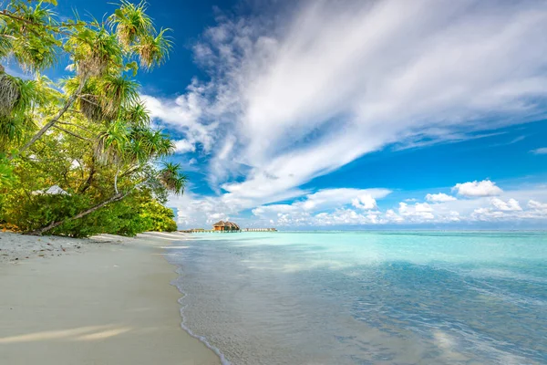 Plage Palmiers Dans Une Île Paradisiaque Tropicale Idyllique Rayons Soleil — Photo