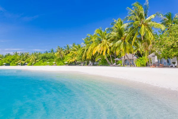 Palm Beach Tropikalnej Idyllicznej Rajskiej Wyspie Promienie Słoneczne Promienie Egzotyczna — Zdjęcie stockowe