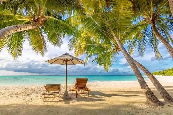 美丽的热带日落风景 两张日光浴床 棕榈树下的伞 白色的沙滩 地平线上的海景 色彩斑斓的暮色天空 宁静和悠闲 迷人的海滨度假酒店 迷人的风景 奢华的旅游风景 — 图库照片