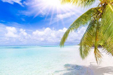 Plajlı, güneşli, beyaz kumlu ve plaj afişi için sakin denizli tropik plaj manzarası. Sahilde mükemmel bir tatil ve yaz tatili konsepti. Renk sürecini güçlendir