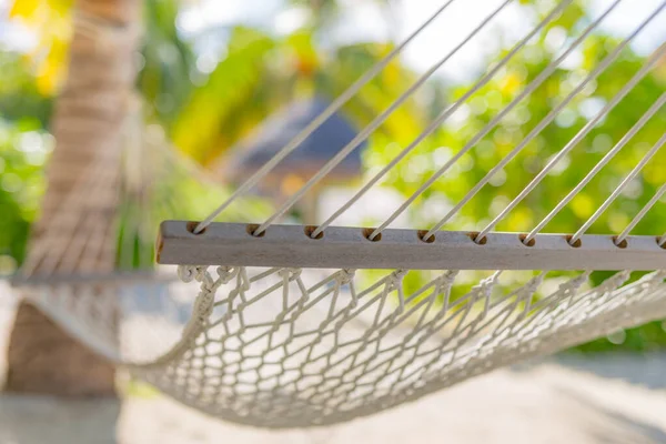 Closeup of white hammock with blurred tropical beach landscape, palm trees and sunny weather. comfortable hammock on beach, closeup. Summer vacation