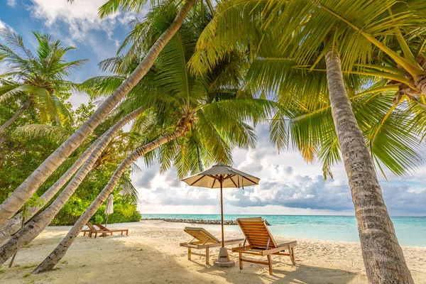 美丽的热带日落风景 两张日光浴床 棕榈树下的伞 白色的沙滩 地平线上的海景 色彩斑斓的暮色天空 宁静和悠闲 具有启发性的海滨度假酒店 — 图库照片