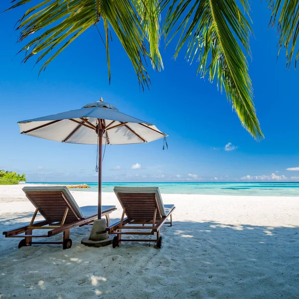 Tropische Strand Achtergrond Als Zomer Landschap Met Ligstoelen Palmbomen Kalme — Stockfoto