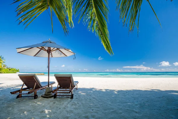 Tropische Strand Achtergrond Als Zomer Landschap Met Ligstoelen Palmbomen Kalme — Stockfoto