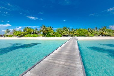 Yeşil mercan gölüne adım atan su bungalovlarının üzerinde. Lüks su villaları, mavi gölün üzerindeki bungalovlar, mavinin gölgeleri, deniz manzarası. Tropikal seyahat izinleri