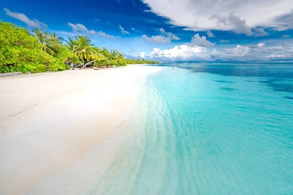 Malediven Paradijs Strand Perfect Tropisch Eiland Prachtige Palmbomen Tropisch Strand — Stockfoto