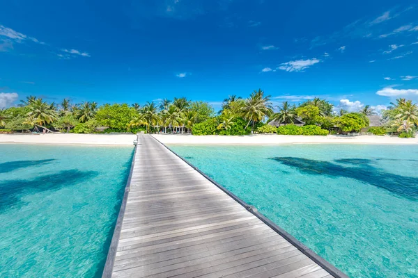 Resort Praia Luxo Longo Molhe Destino Ilha Paradisíaca Palmeiras Sobre — Fotografia de Stock