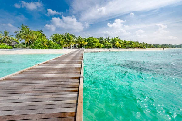 Мальдивский Остров Тропический Пейзаж Летних Пейзажей Белый Песок Пальмами Отдых — стоковое фото