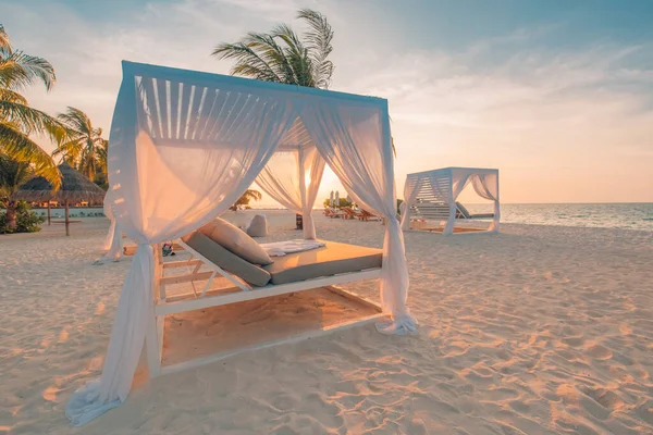 日没時に白い砂浜のキャノピー 豪華なビーチリゾートで豪華なビーチテント 夏のビーチのコンセプト リラクゼーションと静けさ 太陽の下で素敵なパビリオンを持つ豪華なVipビーチでリラックス青空の日 — ストック写真