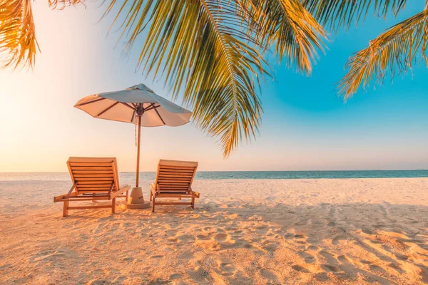 美丽的热带海滩横幅 白色的沙子和可可棕榈在旅游的广阔背景下形成了一个概念 迷人的海滩景观 — 图库照片