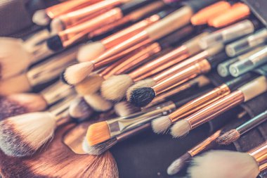 Profesyonel makyaj fırçaları ve aletleri. Makyaj fırçası koleksiyonu, profesyonel makyaj fırçaları ve aletleri, makyaj ürünleri seti