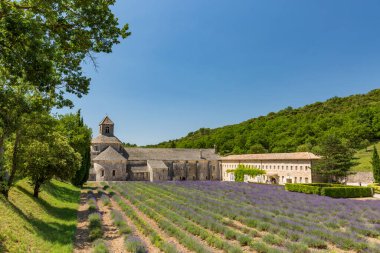 Senanque Manastırı ve günbatımında açan lavanta çiçekleri. Gordes, Luberon, Vaucluse, Provence, Fransa, Avrupa.