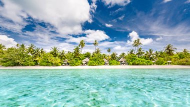 Güzel tropikal plaj afişi. Beyaz kum ve kakao palmiyeleri, turizm boyunca seyahat eder. İnanılmaz bir sahil manzarası. Lüks yaz tatili afişi
