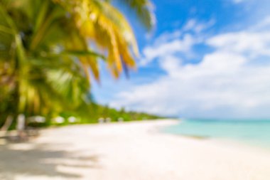 Bulanık avuç içi ve tropik plaj bokeh arka plan, yaz tatili ve seyahat konseptine sahip kum. Kopyalama alanı, rüya tatil manzarası, plaj tatili