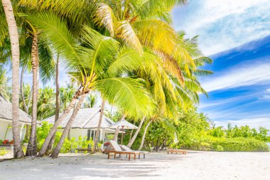 Maldivler adasında şemsiyeli plaj sandalyeleri, beyaz kumlu plaj ve deniz. Lüks sahil köşkü, yaz tatili olan villa, tatil havası. Plaj sahnesi, tropik ada.