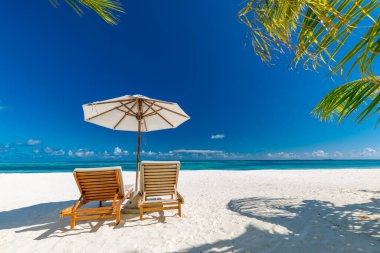 Güzel sahil. Deniz kenarındaki kumlu sahilde sandalyeler. Yaz tatili ve turizm için tatil konsepti. İlham verici tropikal manzara. Huzurlu sahil sahnesi. Egzotik tropikal sahil beldesi