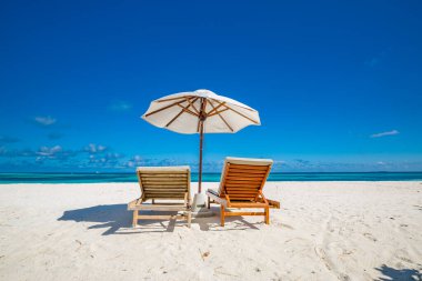 Güzel sahil. Deniz kenarındaki kumlu sahilde sandalyeler. Yaz tatili ve turizm için tatil konsepti. İlham verici tropikal manzara. Huzurlu sahil sahnesi. Egzotik tropikal sahil beldesi