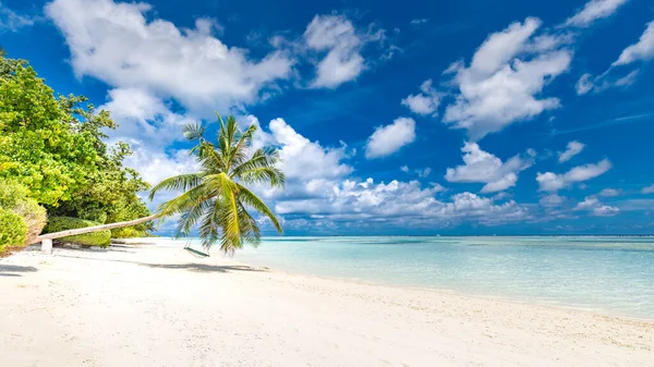 Bellissimo Banner Spiaggia Tropicale Sabbia Bianca Palme Cocco Turismo Viaggio — Foto Stock