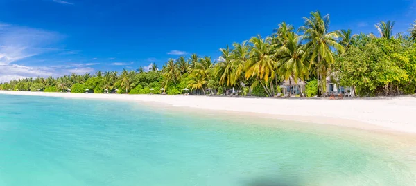Amazing Nature Beach Palm Trees Moody Sky Summer Vacation Travel — Stock Photo, Image
