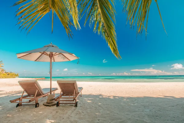 Prachtige Tropische Strandbanner Wit Zand Kokos Palmen Reizen Toerisme Breed — Stockfoto