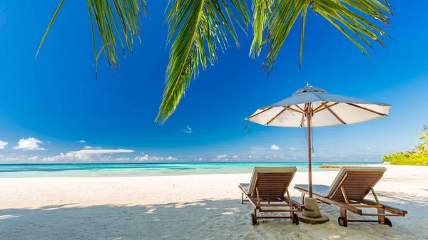 美丽的热带海滩横幅 白色的沙子和可可棕榈在旅游的广阔背景下形成了一个概念 美丽的海滩风景 加强色彩处理 豪华岛度假或度假 — 图库照片