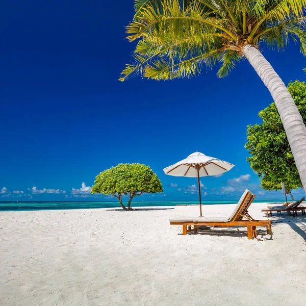 Schöner Strand Stühle Sandstrand Der Nähe Des Meeres Sommerurlaub Und — Stockfoto