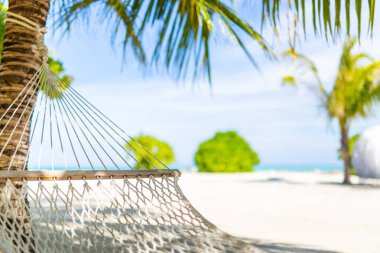 Dertsiz tropikal tatil konsepti, palmiye ağaçları arasındaki hamak, rahatlatıcı ruh hali. Yaz tatili, şablon. Huzurlu seyahat doğa, güneşli manzara, özgürlük plajı