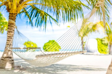 Dertsiz tropikal tatil konsepti, palmiye ağaçları arasındaki hamak, rahatlatıcı ruh hali. Yaz tatili, şablon. Huzurlu seyahat doğa, güneşli manzara, özgürlük plajı