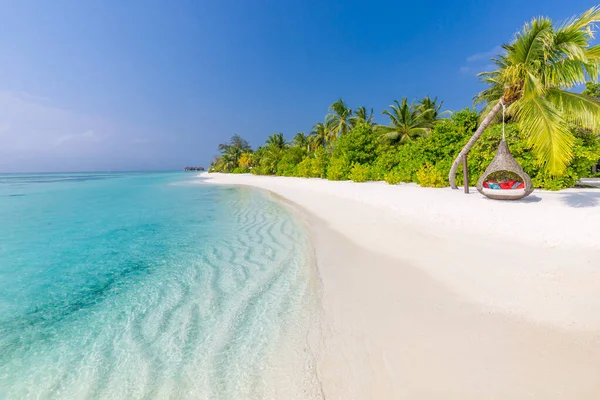 Plażowa Koncepcja Natury Palm Beach Tropikalnej Idyllicznej Rajskiej Wyspie Egzotyczny — Zdjęcie stockowe