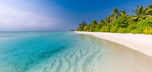Tengerparti Természet Koncepció Palm Beach Trópusi Idilli Paradicsomi Szigeten Egzotikus — Stock Fotó