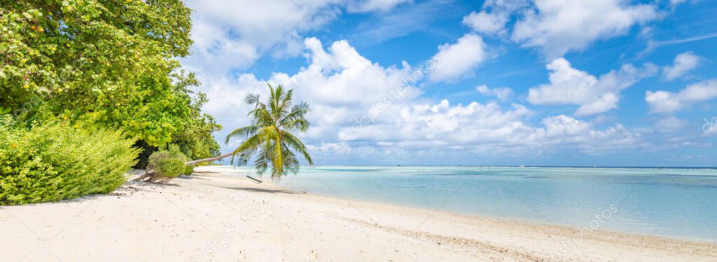 Tropical beach paradise as summer landscape green palm trees leaves and white sand, calm sea for serene beach. Luxury beach scene vacation summer holiday. Exotic island nature travel destination. Amazing nature landscape