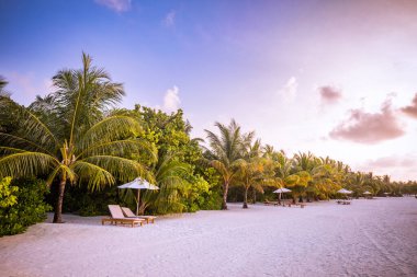 Güzel tropik gün batımı manzarası, iki güneş yatağı, dinlenme yerleri, palmiye ağacının altındaki şemsiye. Beyaz kum, ufku olan deniz manzarası, renkli alacakaranlık gökyüzü, sakinlik ve rahatlama. İlham verici sahil oteli