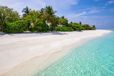 Plaj doğası kavramı. Tropik cennet adasındaki Palm Beach. Hayalci ve ilham verici yaz manzarası için egzotik manzara arka plan ya da duvar kağıdı kullanımı