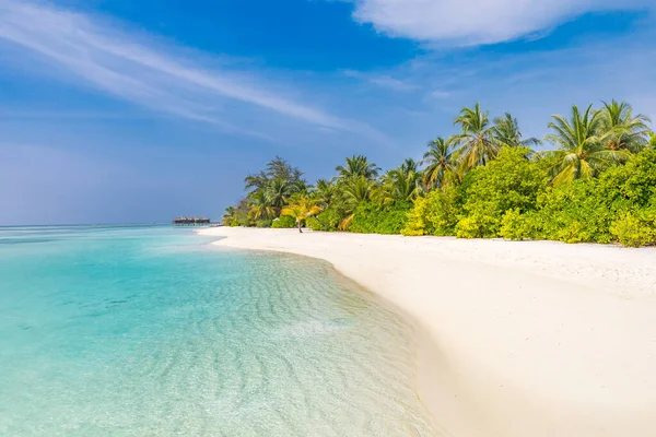马尔代夫天堂海滩 完美的热带岛屿美丽的棕榈树和热带海滩 忧郁的蓝天和蓝色的泻湖 豪华旅行暑假背景概念 — 图库照片