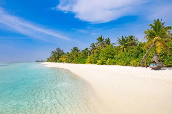 Tropikalne Tło Plaży Jako Letni Krajobraz Huśtawką Plaży Lub Hamak — Zdjęcie stockowe