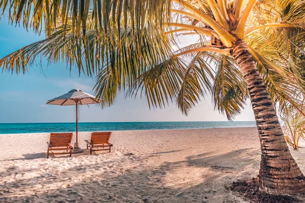 美丽的海滩靠海的沙滩上的椅子 奢华的暑假和旅游度假理念 令人振奋的热带风景 宁静的风景 休闲的海滩 热带景观设计 — 图库照片