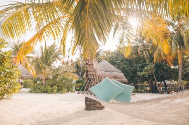 Şezlongda şablon plaj hamağı. Bir palmiye ağacının üzerinde. Gün batımı. Yaz tatili manzarası, güzel plaj manzaralı tropikal ada.