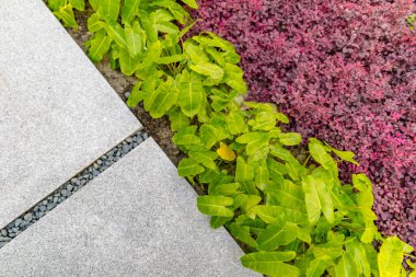 Çiçeklerle dolu bahçe yolu. Dekorasyon bahçesi, Japon bahçesinde çakıl döşeli taşlar. Meditasyon amaçlı taş kaldırım. Bahçe mimarisi, patika aksesuarı