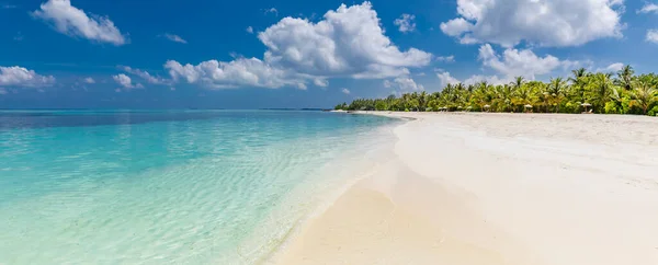 Tengerparti Természet Koncepció Palm Beach Trópusi Idilli Paradicsomi Szigeten Egzotikus — Stock Fotó