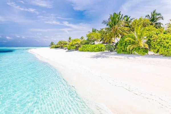 Поняття Природи Пляжу Пальмовий Пляж Тропічному Ідилічному Острові Раю Екзотичний — стокове фото