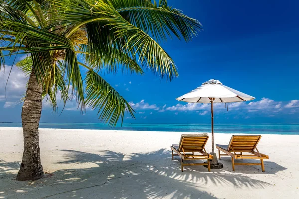 Nydelig Strand Stoler Sandstranden Ved Havet Luksusferie Ferieflagg Konseptet Tropisk – stockfoto