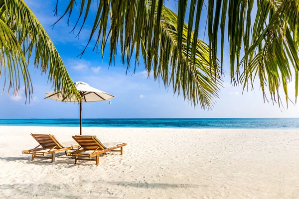 Prachtig Tropisch Landschap Twee Ligbedden Ligstoelen Parasol Onder Palmbomen Wit — Stockfoto