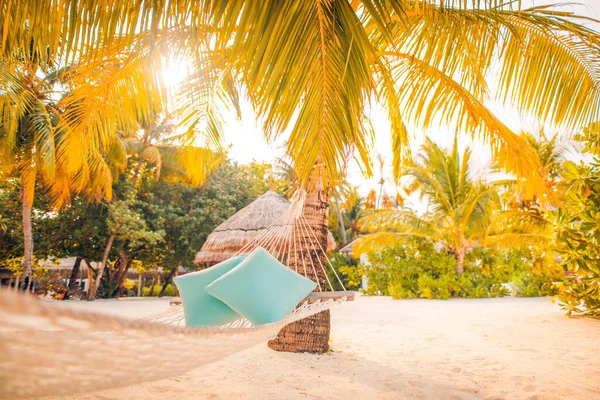 Chaise Lounge Modello Spiaggia Amaca Una Palma Bagliore Tramonto Del — Foto Stock