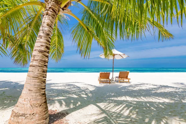 Красиві Тропічні Пейзажі Два Сонячні Ліжка Шезлонги Парасолька Під Пальмою — стокове фото