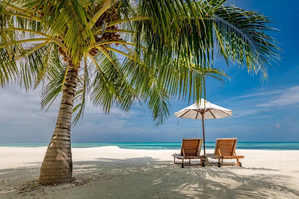 Prachtig Tropisch Landschap Twee Ligbedden Ligstoelen Parasol Onder Palmbomen Wit — Stockfoto