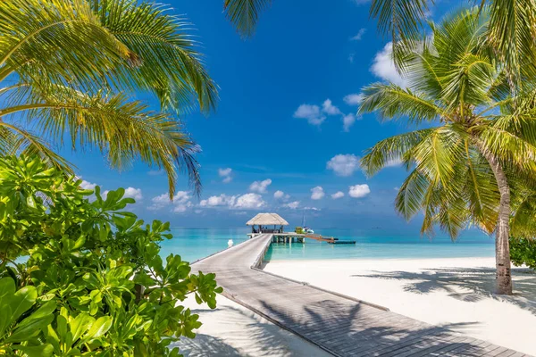 Stranden Maldiverna Tropiskt Landskap Med Sommarlandskap Vit Sand Med Palmer — Stockfoto