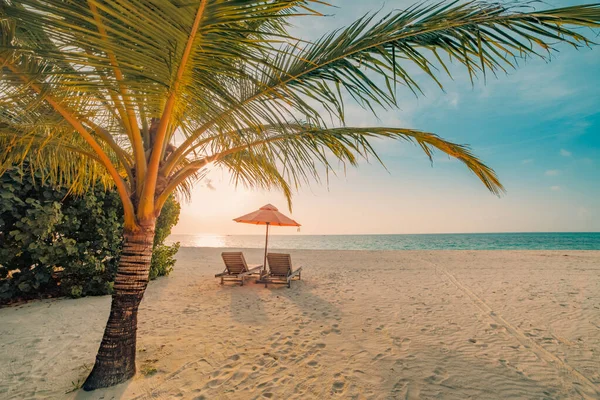 Romantické Plážové Scenérie Letní Dovolená Nebo Líbánky Pozadí Luxusní Dovolená — Stock fotografie
