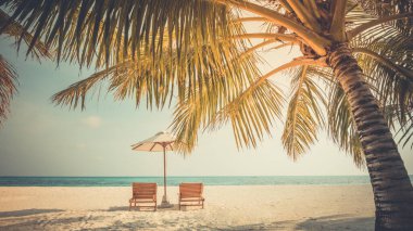 Beautiful tropical beach banner. White sand and coco palms travel tourism wide panorama concept. Amazing beach landscape. Chairs, leisure lifestyle, nature. Amazing beach landscape. Boost up color process. Luxury island resort vacation or holiday